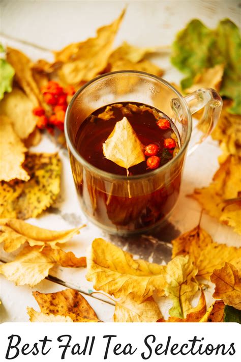 Best Fall Teas For The Season The Domestic Life Stylist Autumn Tea