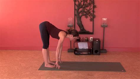 Beginner daily morning yoga flow. Quick Morning Yoga - YouTube