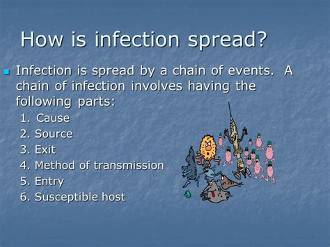 How Are Staph Infections Transmitted Staph Infections Symptoms And