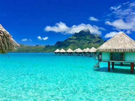 11 Best Bora Bora Shore Excursions Things To Do Cruise Day Tour