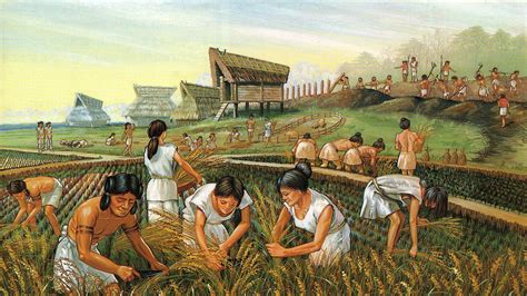 Which Came First Intensive Agriculture Or Complex Society Genetic