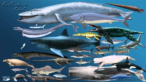 Creatures Of The Deep Prehistoric Animals Largest Sea Creature