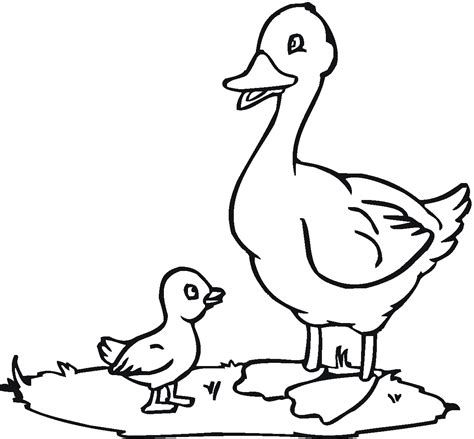 Printable Duck Coloring Pages Portal Tribun