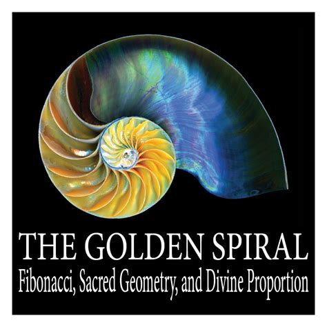 The Golden Spiral Fibonacci Sacred Geometry And Divine