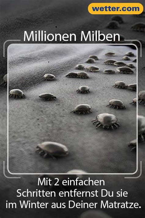 Sprühen sie ihre matratze mit der sprühflasche gründlich ein. Im Winter: So entfernen Sie Millionen Milben aus Ihrer ...