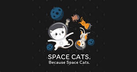 Space Cats Spaceship Galaxy Satellite Kitten Space Cats Because