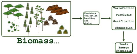 Sustainability Free Full Text Biomass Torrefaction As A Key Driver