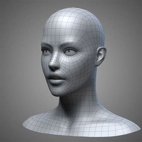 female head 3 3d model face topology female head anatomy sculpture