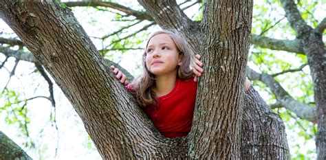Should I Let My Kid Climb Trees We Asked Five Experts