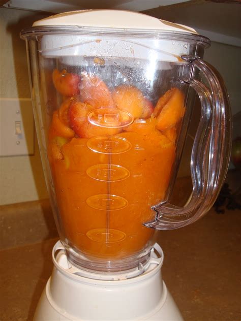 May be clarified as to how much has to be. my family prepared: Canning Apricot Nectar - How To