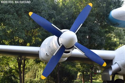 Soviet Superfortress The Tupolev Tu 4 Wings Over New Zealand