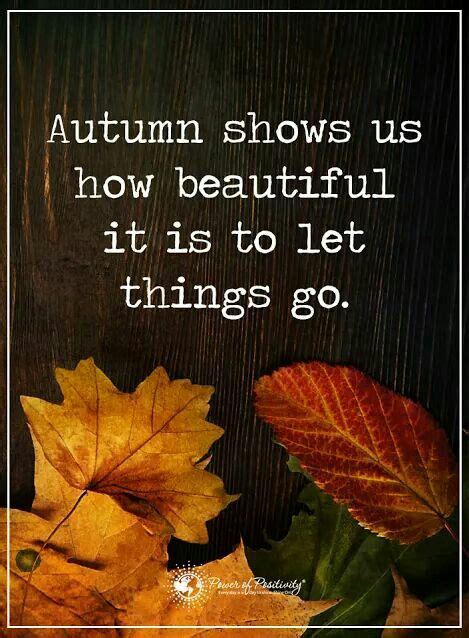 Autumn Shows Us How Beautiful It Is To Let Things Go🍁 Wisdom Quotes