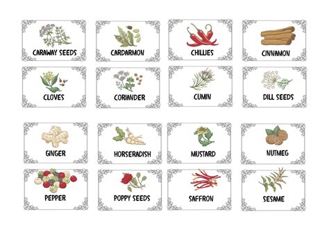 Herbs And Spices Spices Labels Graphic By Angela H Evans · Creative Fabrica