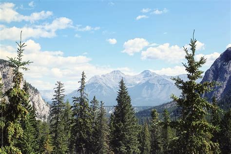 Mountain Trees And Sky In The Rockies By Stocksy Contributor Sandra
