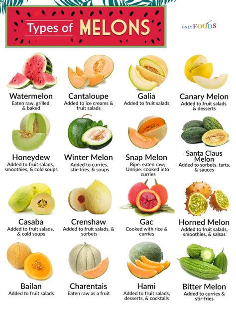 Different Types Of Melon And What You Can Do With Them Gambaran