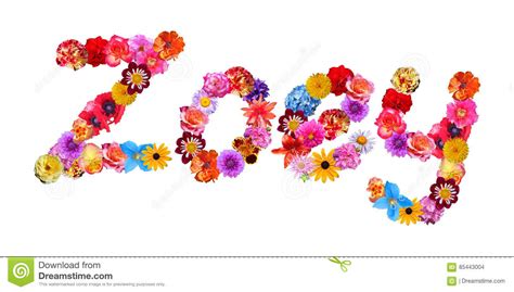 Flowers Name Zoey stock illustration. Illustration of ...