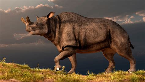 Revelan Por Qué Algunos Animales Se Convirtieron En Gigantes Tras La