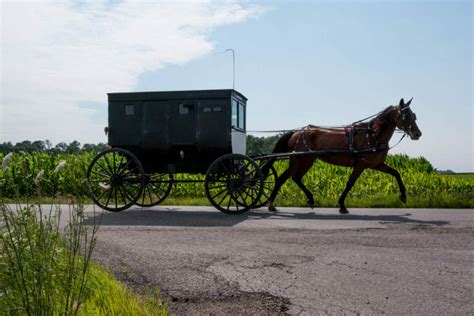 Amish Uber Launched Just With One Buggy And A Dream But No App