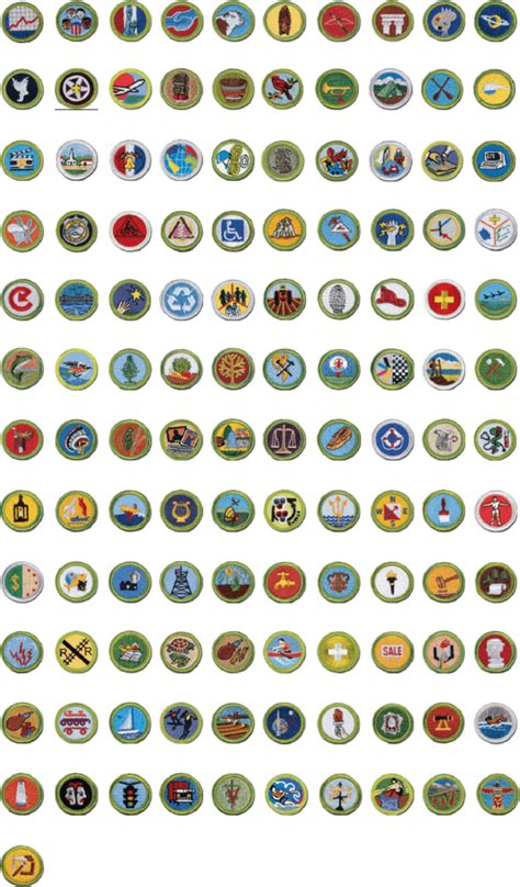 Read the merit badge requirements, preferably with someone you can discuss them with that knows about cars. Merit Badges - Troop 123