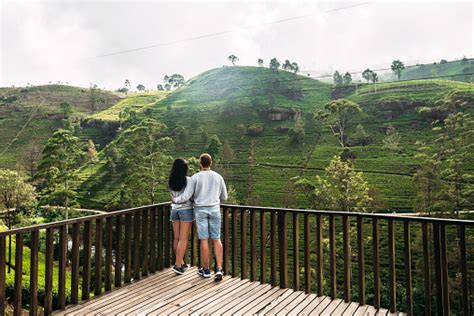 Pasangan Jatuh Cinta Di Perkebunan Teh Perjalanan Ke Sri Lanka