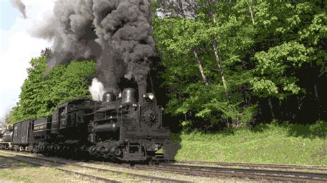 Steam Locomotive S Get The Best  On Giphy