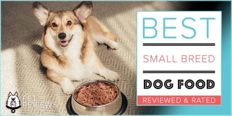 Best dry dog food for large breeds: 10 Best (Healthiest) Small Breed Dry Dog Food Brands for 2021
