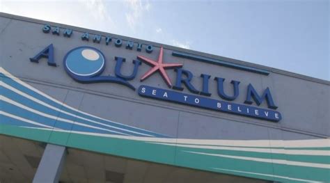 San Antonio Aquarium To Reopen Saturday