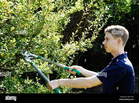 Garden Shear Hi Res Stock Photography And Images Alamy