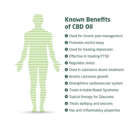 Cbd Guide Weight Loss Does It Work To Make You Slimmer