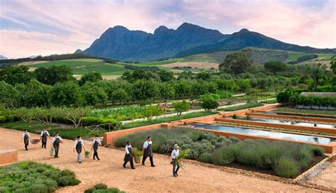 The History Of The Cape Winelands Stellenbosch Franschhoek And Paarl