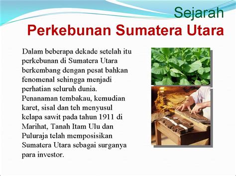 Perkebunan Di Nusantara Presentasi Sejarah Perkebunan