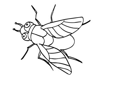 Fly Swatter Coloring Page Sketch Coloring Page