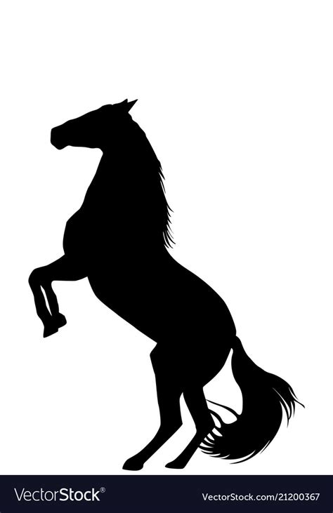 Horse Rearing Silhouette