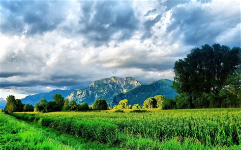 Photography Of Grass Fields Surrounded Of Trees Near Mountains Under