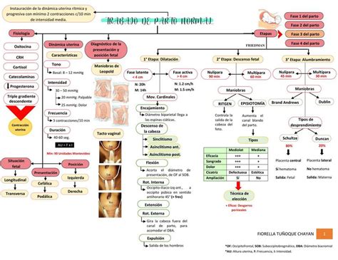 Trabajo De Parto Fio Udocz