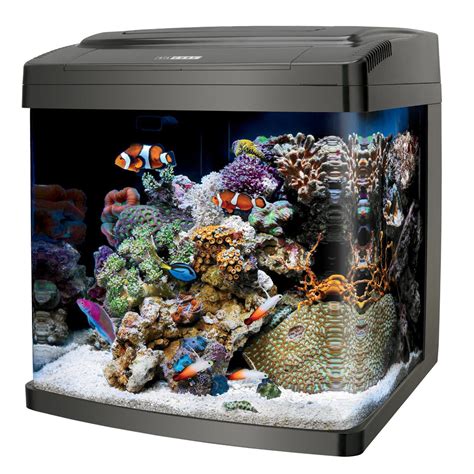 Cool Fish Tanks And Aquariums