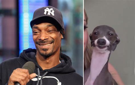 Snoop Dogg As A Dog