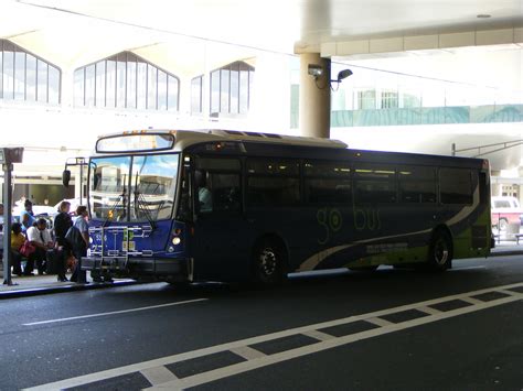 Nj Transit New Jersey Showbus International Bus Image Gallery Usa