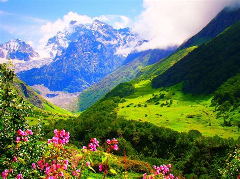 The Valley Of Flowers Uttarakhand India Snowy Peaks Beautiful