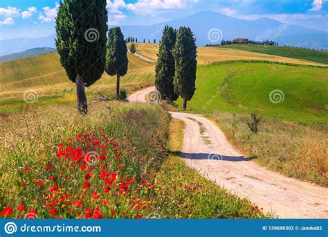 Summer Tuscany Landscape With Grain Fields And Rural Road Italy Stock