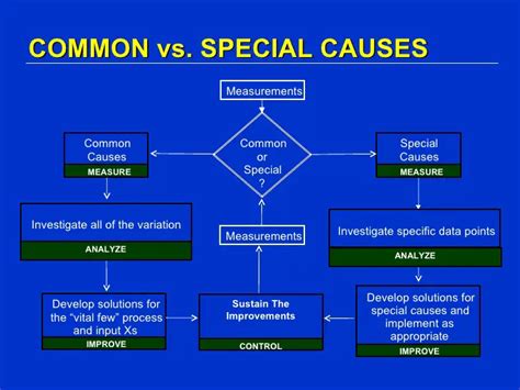 Common And Special Cause Variation Lean Six Sigma Training Guide Copy
