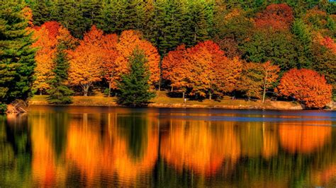 Colorful Autumn Leafed Trees Reflection On Calm Body Of Water During Daytime Nature Hd Desktop