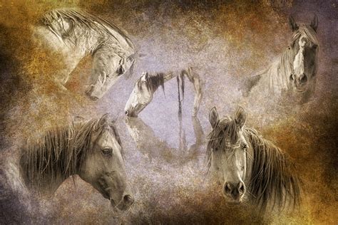 Horses I Have Known Photograph By Ron Mcginnis Fine Art America