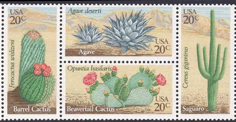 The first class mail letter (1 oz.) rate for postage purchased at the post office will remain at $0.55 (no change from 2020). Desert Cactus Plants Sheet of 40 20 Cent Postage Stamps ...