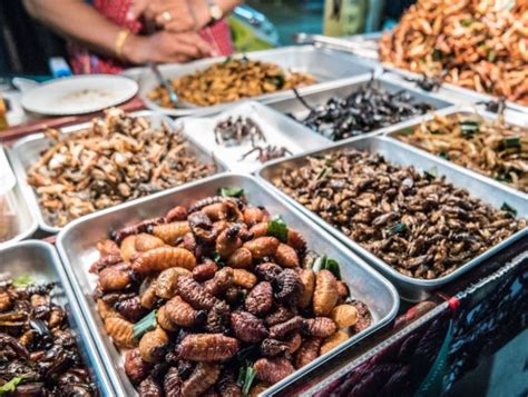 The 14 Unusual And Weird Thai Foods To Tryif You Dare