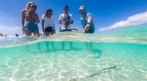 Ocean Rafting Northern Exposure Great Barrier Reef Tours Whitsundays