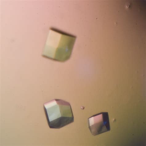 Chem 112l Protein Crystallization Spring 2011