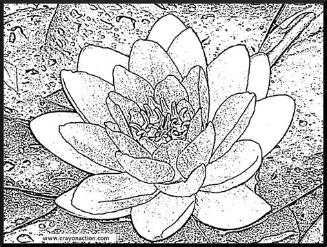 Sea floor, a complex coloring page, where is waldo ? style. Water lilies coloring pages download and print for free