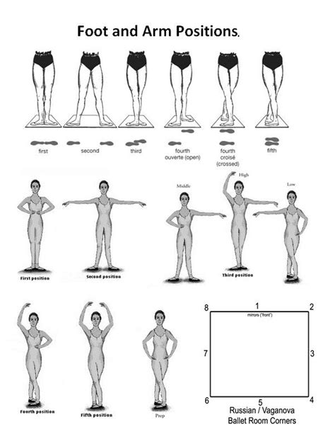 Printouts Ballet Exercises Dance Stretches Ballet Moves