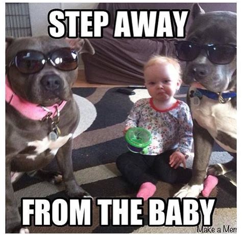 Loading Nanny Dog Funny Animals Pitbulls